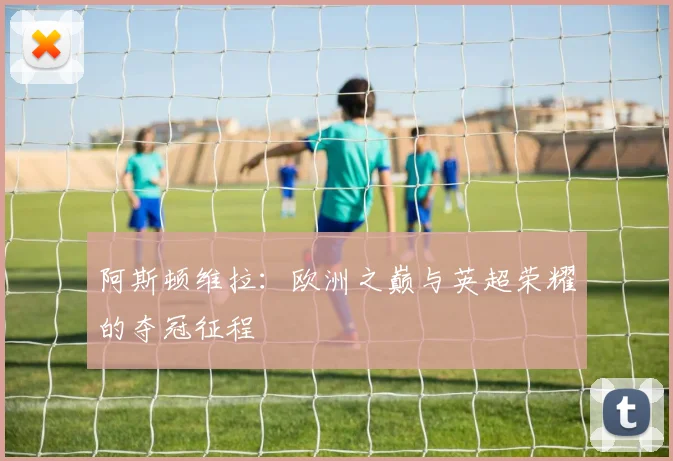 阿斯顿维拉：欧洲之巅与英超荣耀的夺冠征程